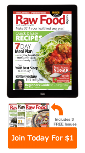 raw food magazine and raw food recipes
