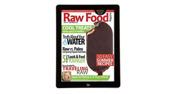 summer raw food recipes