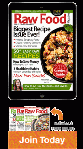 Raw Food Magazine With Raw Food Recipes