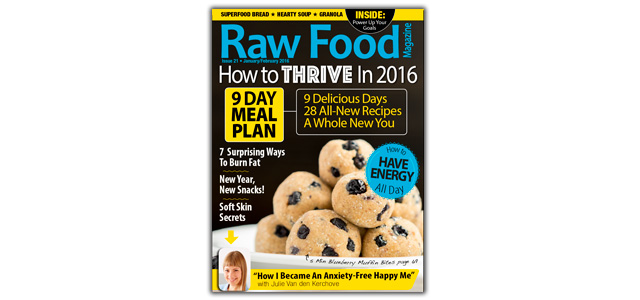 Raw Food Magazine Meal Plan 2016