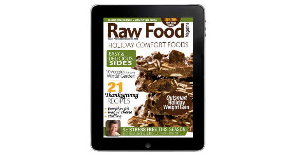 Holiday Raw Food Recipes