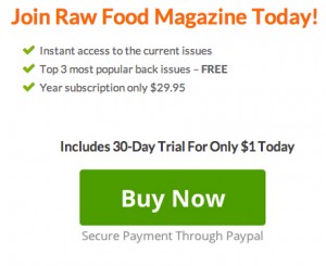 raw food magazine recipes
