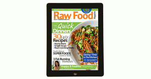 raw food recipes magazine issue 13