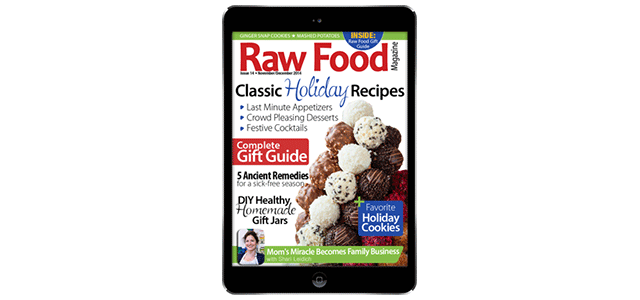Raw Food Recipes For The Holidays