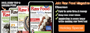 Raw Food Recipes Magazine Holiday Issue