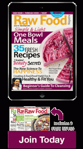 Raw Food Magazine Fresh Raw Food Recipes