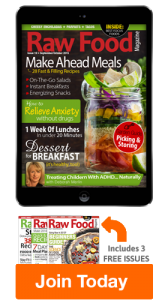 Raw Food Recipes For Beginners