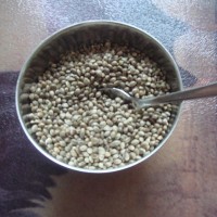 Hemp Seeds superfoods for hormone balance