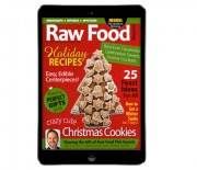 Holiday Recipes & Christmas Cookies Issue
