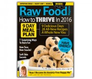 2016 Ultimate Energy & Meal Plan Issue