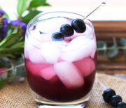 Probiotic Blueberry Apple Cider Vinegar Shrub