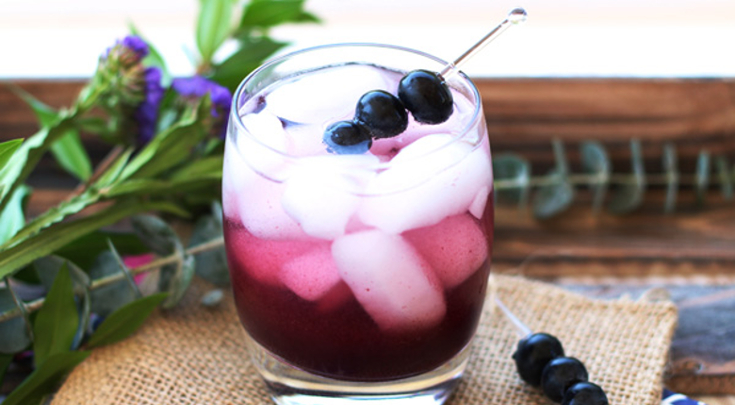 Probiotic Blueberry Apple Cider Vinegar Shrub