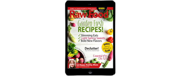spring raw food magazine issue 23 raw food recipes