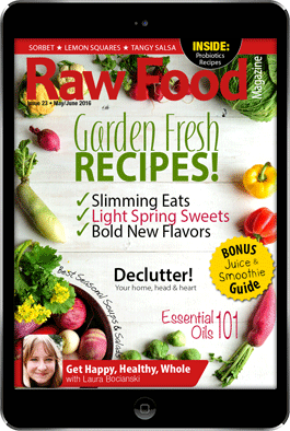 raw-food-recipes-magazine-issue23-Ipad