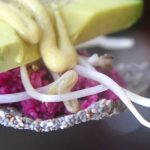 Crispy Chia Crackers