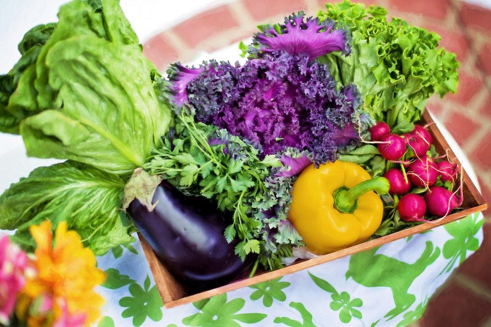 5 Reasons I Started Eating Raw Vegetables - Raw Food Magazine