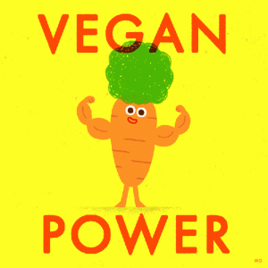 carrot is a source of energy for vegan diet